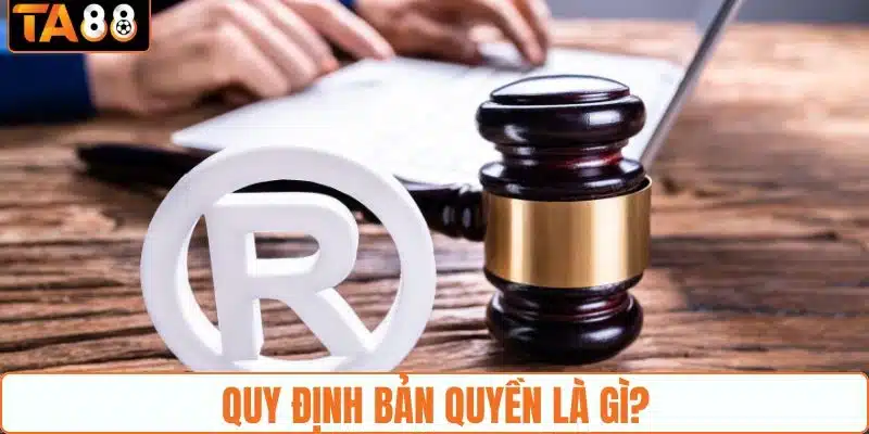 Giới thiệu sơ nét thông tin quy định bản quyền Giới thiệu sơ nét thông tin quy định bản quyền