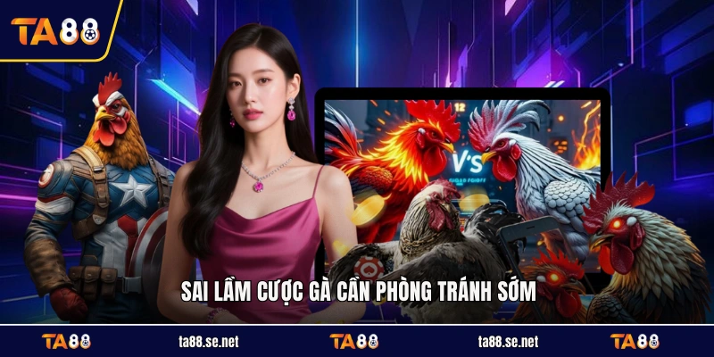 Sai lầm cược gà cần phòng tránh sớm Sai lầm cược gà cần phòng tránh sớm